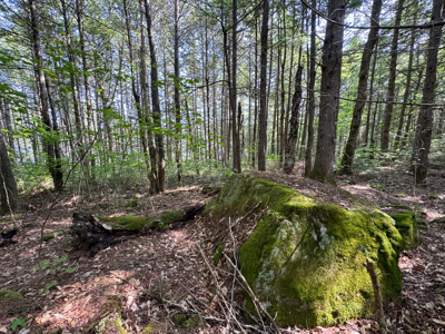 Unique 20 Acre Lakefront Parcel on Cold Stream Pond - image 18