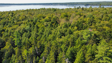 Unique 20 Acre Lakefront Parcel on Cold Stream Pond - image 4