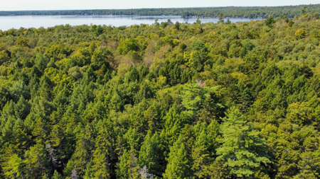 Unique 20 Acre Lakefront Parcel on Cold Stream Pond - image 6