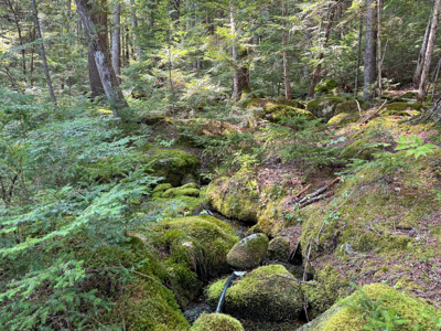 Unique 20 Acre Lakefront Parcel on Cold Stream Pond - image 27