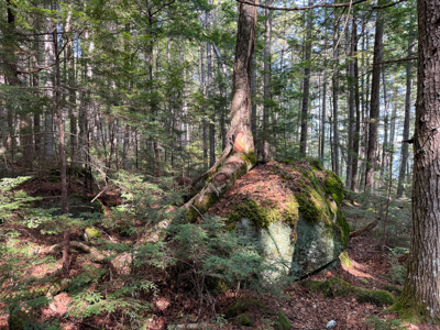 Unique 20 Acre Lakefront Parcel on Cold Stream Pond - image 19