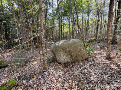 Unique 20 Acre Lakefront Parcel on Cold Stream Pond - image 10