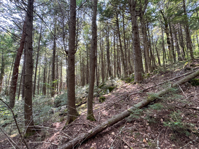 Unique 20 Acre Lakefront Parcel on Cold Stream Pond - image 28