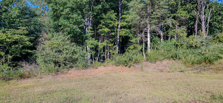 Prime 1.33-Acre Commercial Lot in Buchanan, VA - image 5