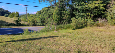 Prime 1.33-Acre Commercial Lot in Buchanan, VA - image 4