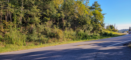 Prime 1.33-Acre Commercial Lot in Buchanan, VA - image 3