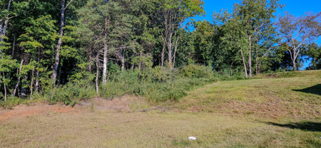 Prime 1.33-Acre Commercial Lot in Buchanan, VA - image 6