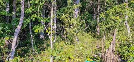 Prime 1.33-Acre Commercial Lot in Buchanan, VA - image 7