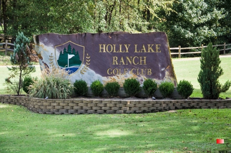 Lakefront 4BR-3.5BA Home in Holly Lake Ranch, Texas For Sale - image 49