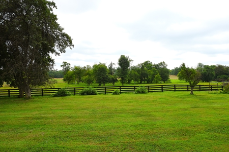 Hobby Farm, Large House, Barn, Large Shop, Country Living - image 12