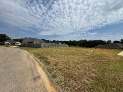 Lot in Sweetwater Subdivision – Saltillo School District - image 3