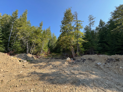 Buildable Land Near the St. Croix River - image 11