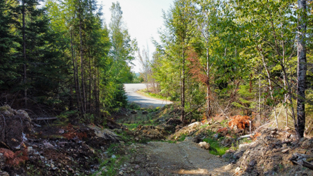 Buildable Land Near the St. Croix River - image 6
