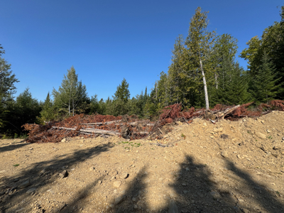 Buildable Land Near the St. Croix River - image 9