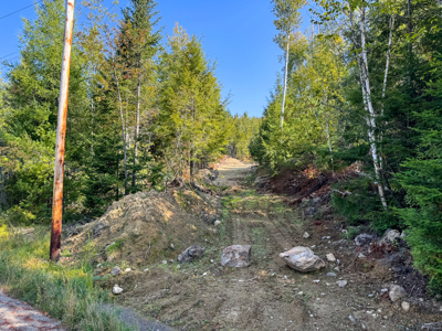 Buildable Land Near the St. Croix River - image 13