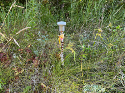 Buildable Land Near the St. Croix River - image 15