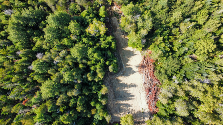 Buildable Land Near the St. Croix River - image 5