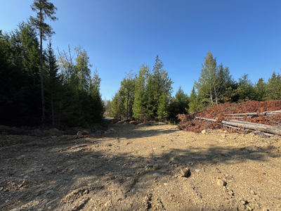 Buildable Land Near the St. Croix River - image 7