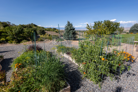 Colorado Custom Home with Acreage and Pond - image 30