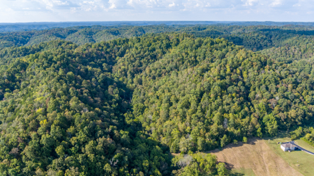 Your Dream Home and Hunting Oasis - image 16