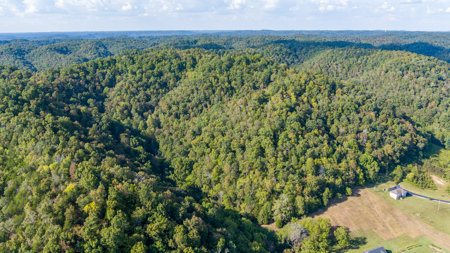 Your Dream Home and Hunting Oasis - image 17
