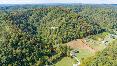 Your Dream Home and Hunting Oasis - image 13