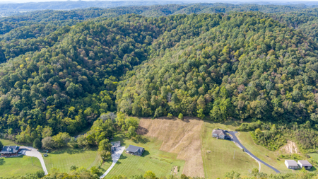 Your Dream Home and Hunting Oasis - image 11
