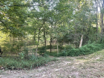 Unrestricted Acreage Near Lake Cumberland! - image 13