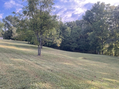 Unrestricted Acreage Near Lake Cumberland! - image 21