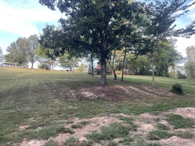Unrestricted Acreage Near Lake Cumberland! - image 12