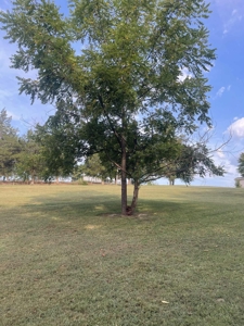 Unrestricted Acreage Near Lake Cumberland! - image 28