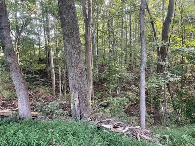 Unrestricted Acreage Near Lake Cumberland! - image 14