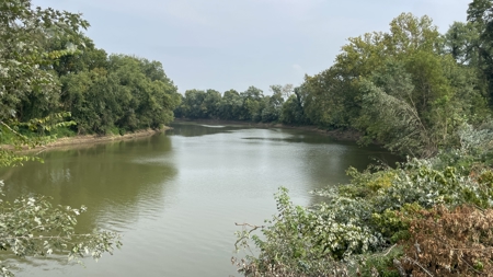 40 +/- Acre Butler County Ky. Riverfront Property in 5 Tracts - image 10
