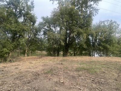 40 +/- Acre Butler County Ky. Riverfront Property in 5 Tracts - image 5
