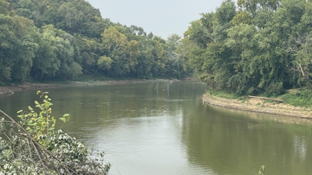 40 +/- Acre Butler County Ky. Riverfront Property in 5 Tracts - image 22