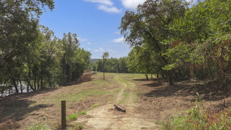 40 +/- Acre Butler County Ky. Riverfront Property in 5 Tracts - image 27