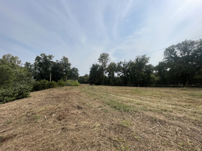 40 +/- Acre Butler County Ky. Riverfront Property in 5 Tracts - image 14