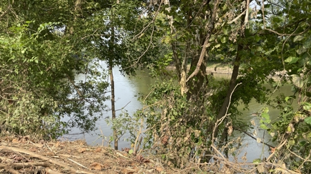 40 +/- Acre Butler County Ky. Riverfront Property in 5 Tracts - image 9