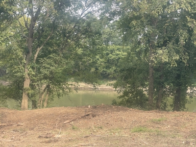 40 +/- Acre Butler County Ky. Riverfront Property in 5 Tracts - image 4