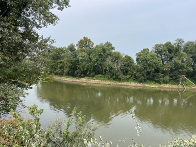 40 +/- Acre Butler County Ky. Riverfront Property in 5 Tracts - image 13