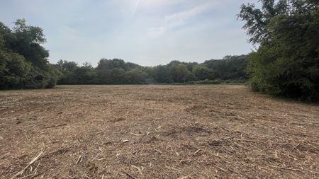 40 +/- Acre Butler County Ky. Riverfront Property in 5 Tracts - image 15