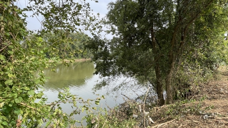 40 +/- Acre Butler County Ky. Riverfront Property in 5 Tracts - image 8