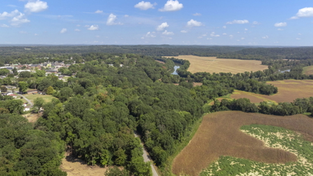 40 +/- Acre Butler County Ky. Riverfront Property in 5 Tracts - image 28