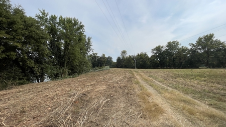 40 +/- Acre Butler County Ky. Riverfront Property in 5 Tracts - image 7