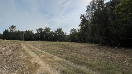 40 +/- Acre Butler County Ky. Riverfront Property in 5 Tracts - image 6