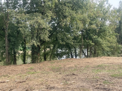 40 +/- Acre Butler County Ky. Riverfront Property in 5 Tracts - image 3