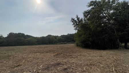 40 +/- Acre Butler County Ky. Riverfront Property in 5 Tracts - image 16