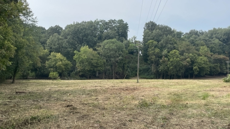 40 +/- Acre Butler County Ky. Riverfront Property in 5 Tracts - image 20