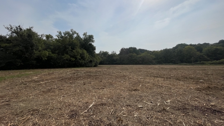 40 +/- Acre Butler County Ky. Riverfront Property in 5 Tracts - image 17