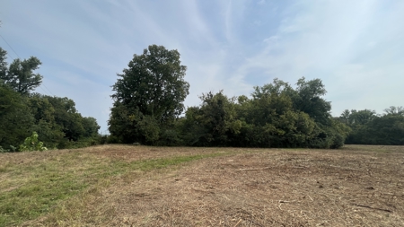 40 +/- Acre Butler County Ky. Riverfront Property in 5 Tracts - image 18